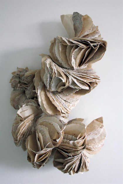 Ann Goddard, Ecotype, 2011