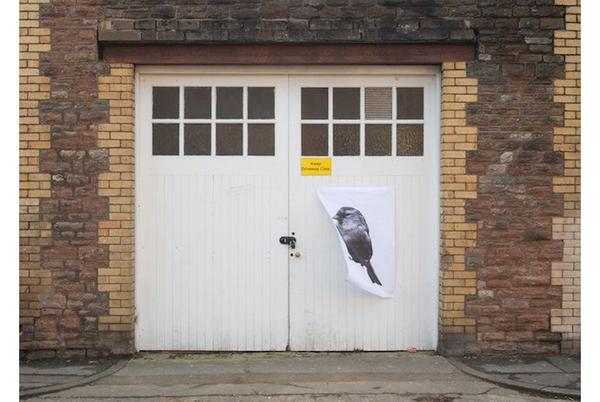 Alistair Owen Bird 2009