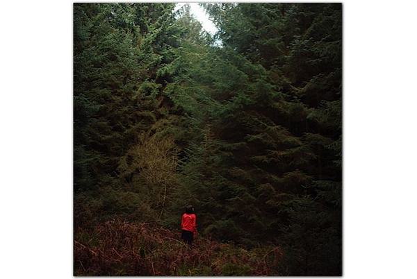 Lauren Elizabeth Jury Untitled 2 from the series Dyfodiad 2008