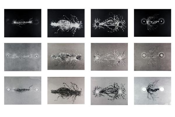 Susan Aldworth Out of Body 2009