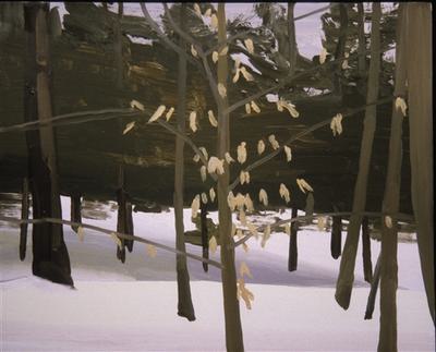 Richard walker snow and pine trees 134580