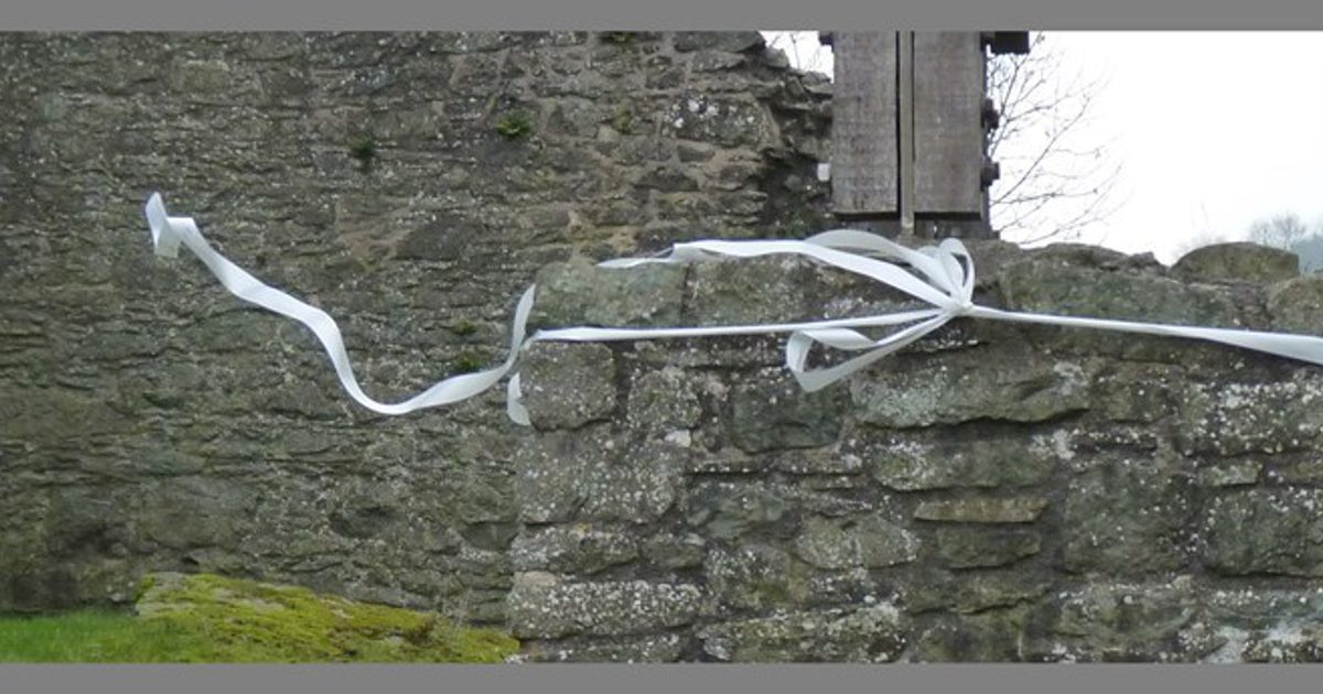 Axis | Embracing Spaces - Ribbon Bow