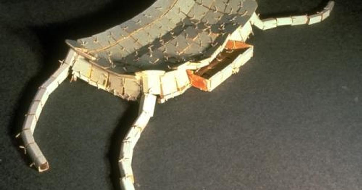 Axis Lying axis-lying