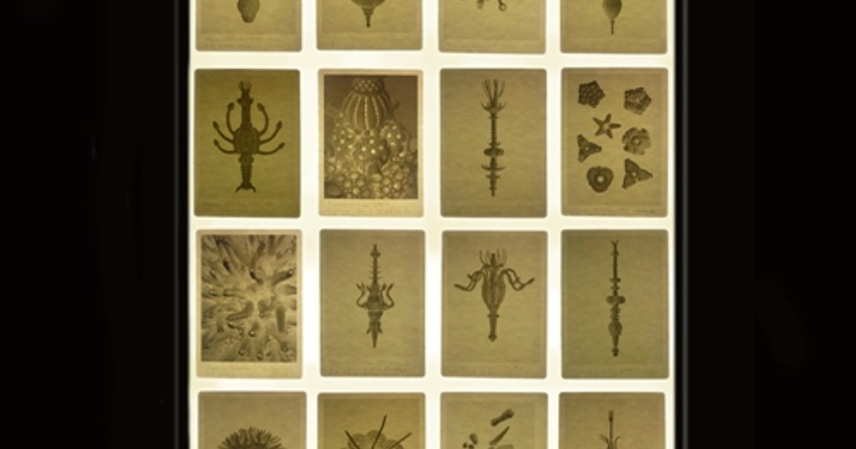 Axis Polysemic Collection axis-polysemic-collection