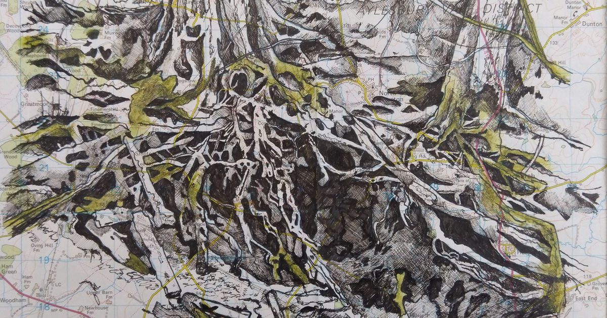 Axis Pyrtle Spring Tree Roots axis-pyrtle-spring-tree-roots