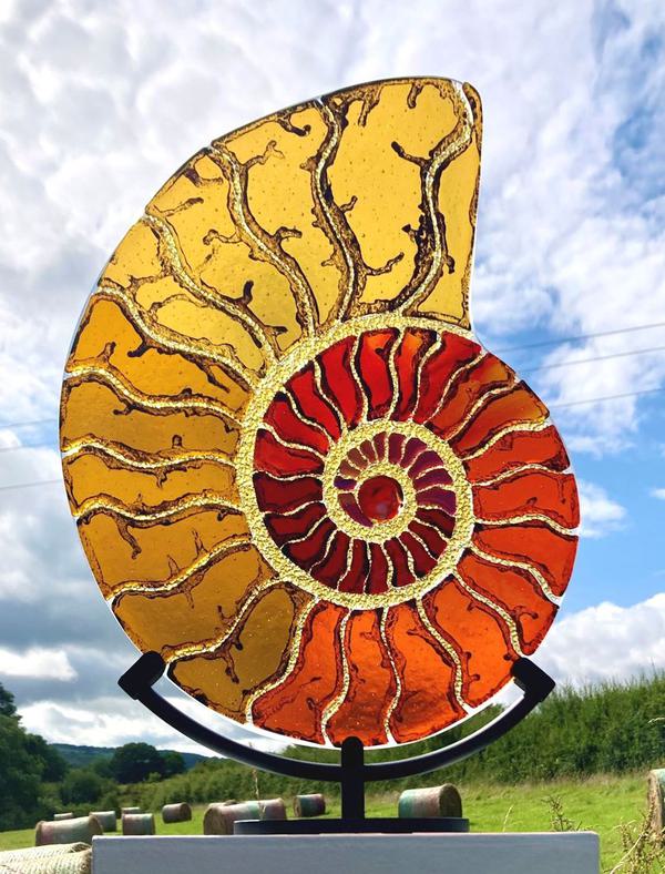 Ammonite 4a 1721145420
