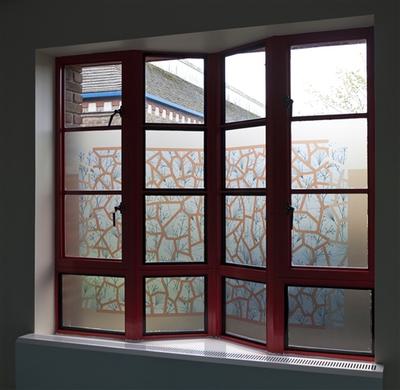 Sasha ward window a dorchester 164204