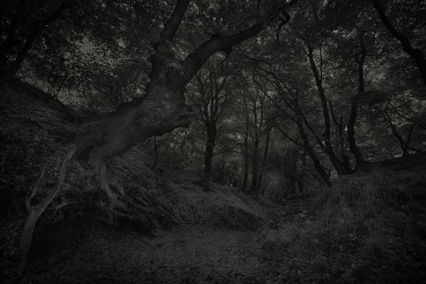 DSC4763 1727451901