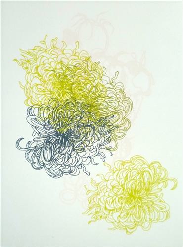 Louise bradley chrysanthemum 163436