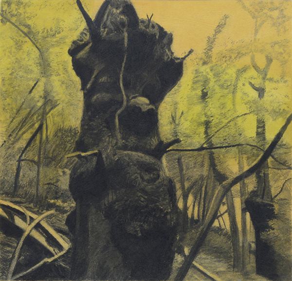 Old Man Of The Woodsweb 1734725463
