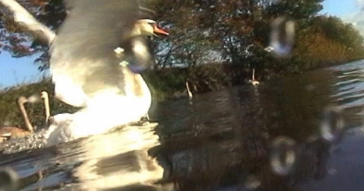 Axis | A Guide to Yorkshire Rivers