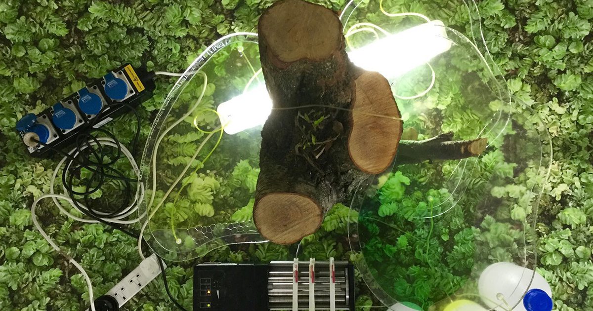 Axis | Prototype for a New Niche for Nature, module IV