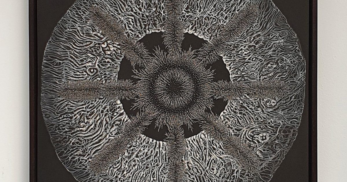 Axis | The Compass Eye