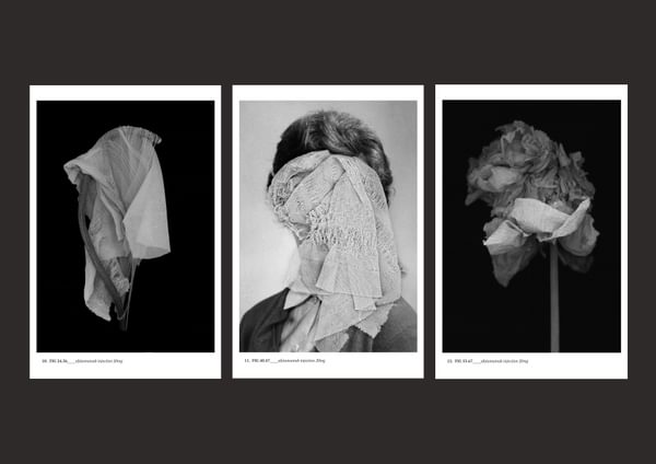 Lyndsay Martin Untraced Land Triptych Prints 1750604449