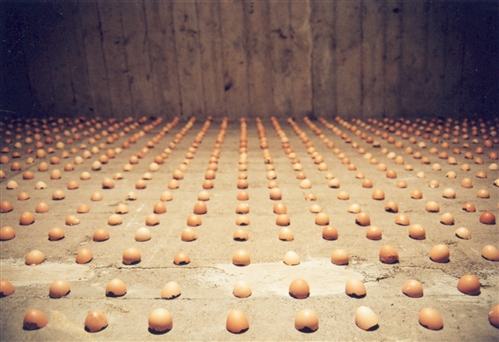 Arabel rosillo de bl eiren eggs bunkertra 140715