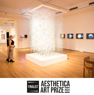 Caro williams aesthetica art prize 2023 finalist 001 1713973558