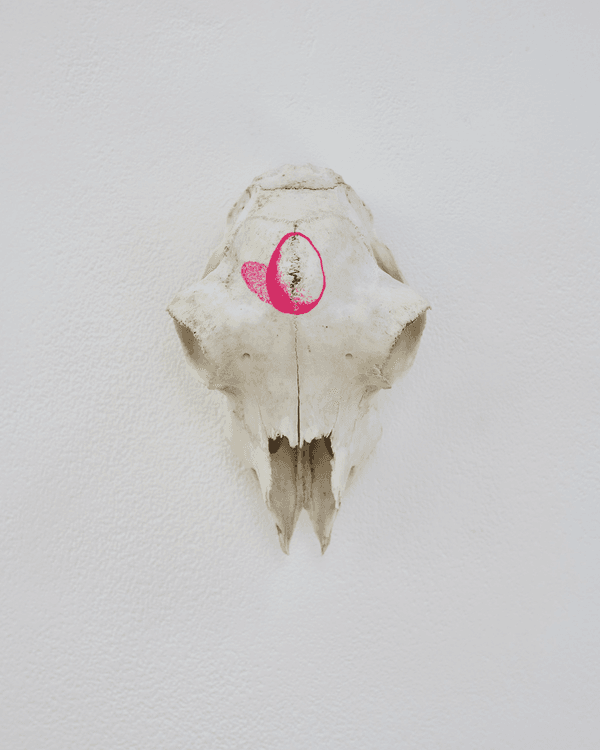 Skull Anointed Egg 2023 lamb skull gouache and undisclosed anointing at a crossroad at midnight 1750269382